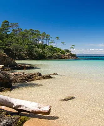 Ile de Porquerolles