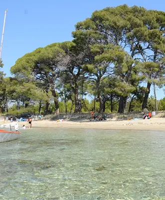 Plage de Pellegrin