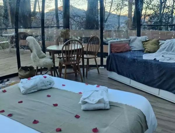 Bulle au coeur de la forêt