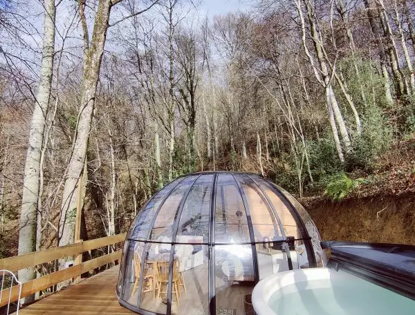 Bulle au coeur de la forêt