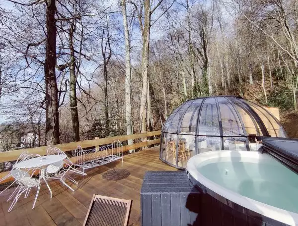 Bulle au coeur de la forêt