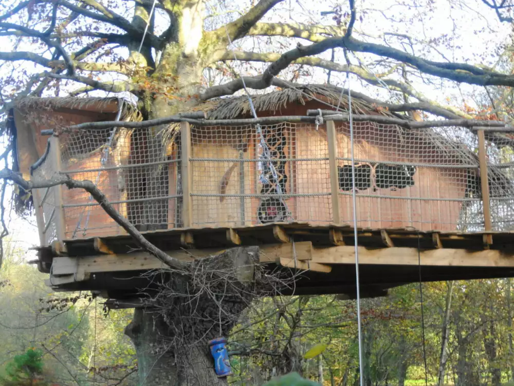 Cabane Gunnera