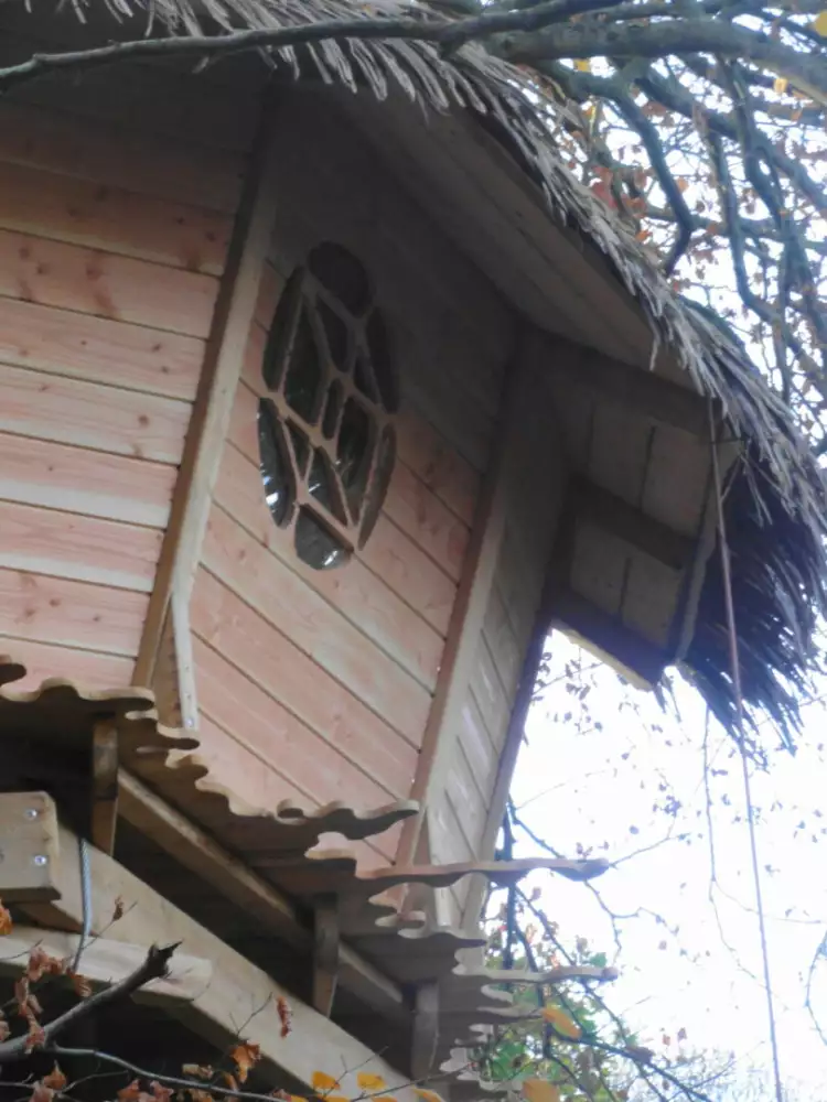 Cabane Gunnera
