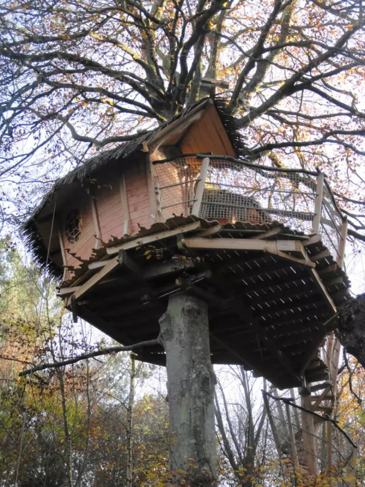 Cabane Gunnera