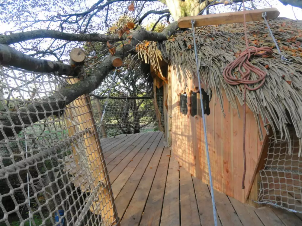Cabane Gunnera