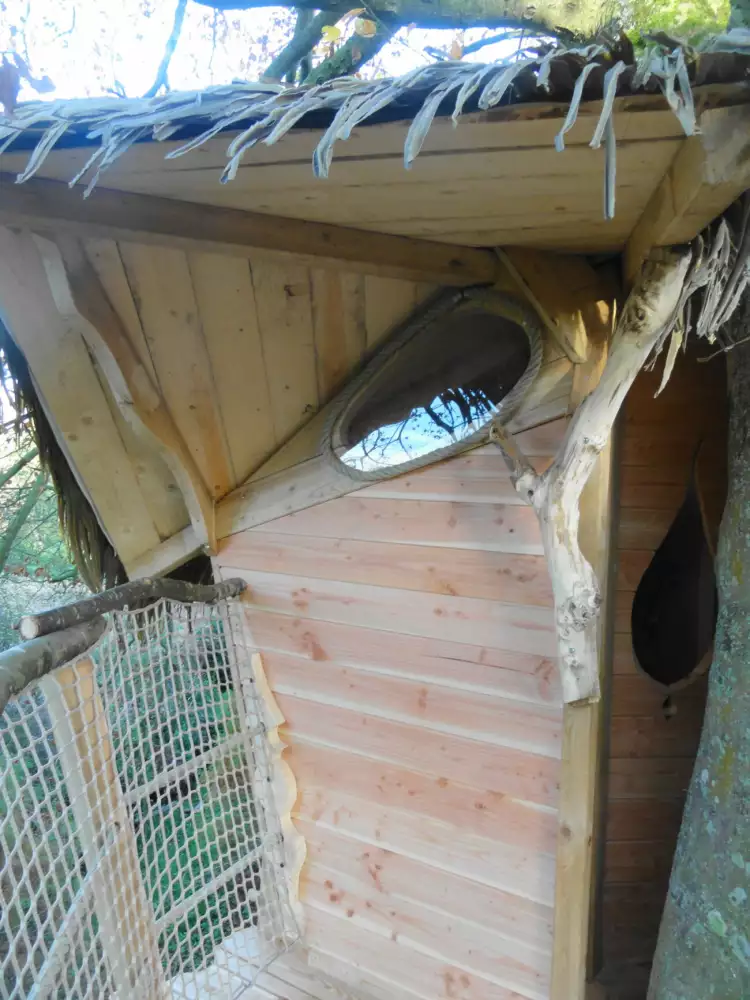 Cabane Gunnera
